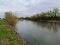 Imagine atasata: 15136.jpg